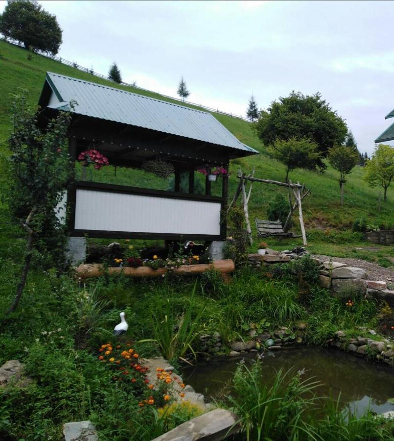 Apartment Sova *