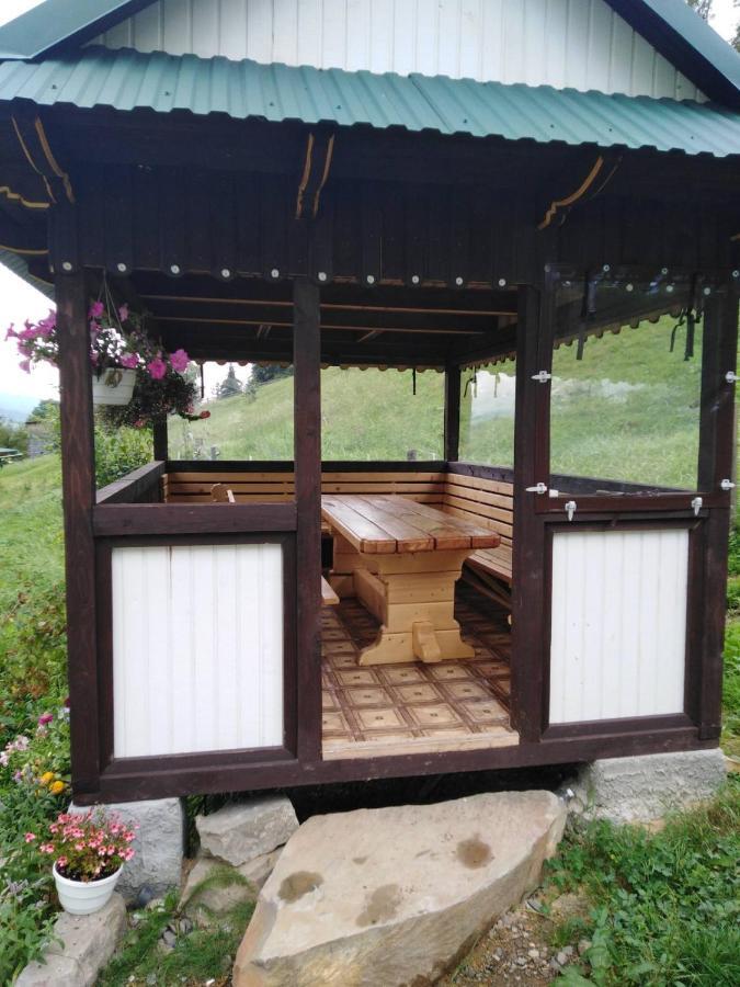 Sova Лазещина