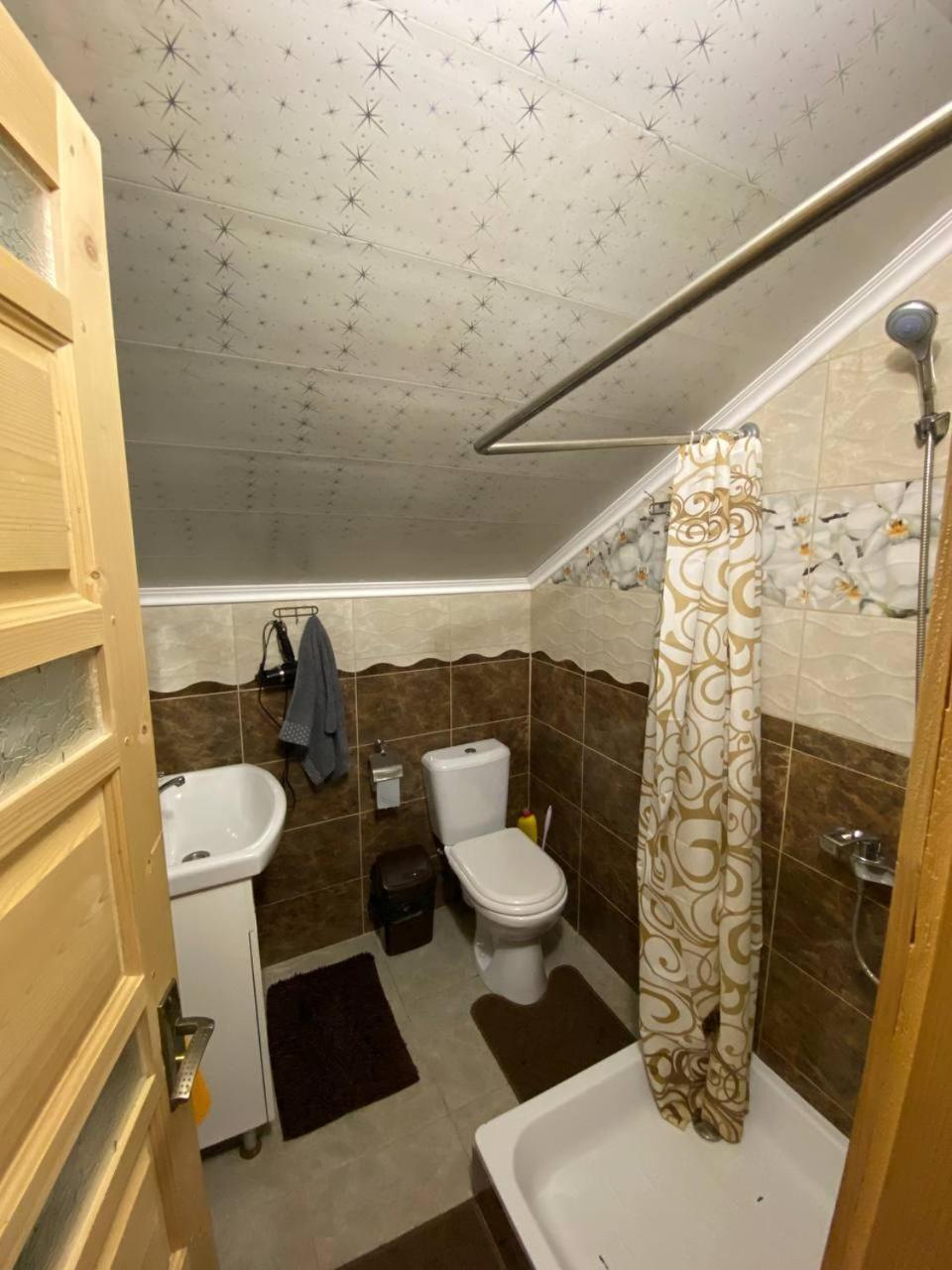 Apartment Sova Lazeshchyna